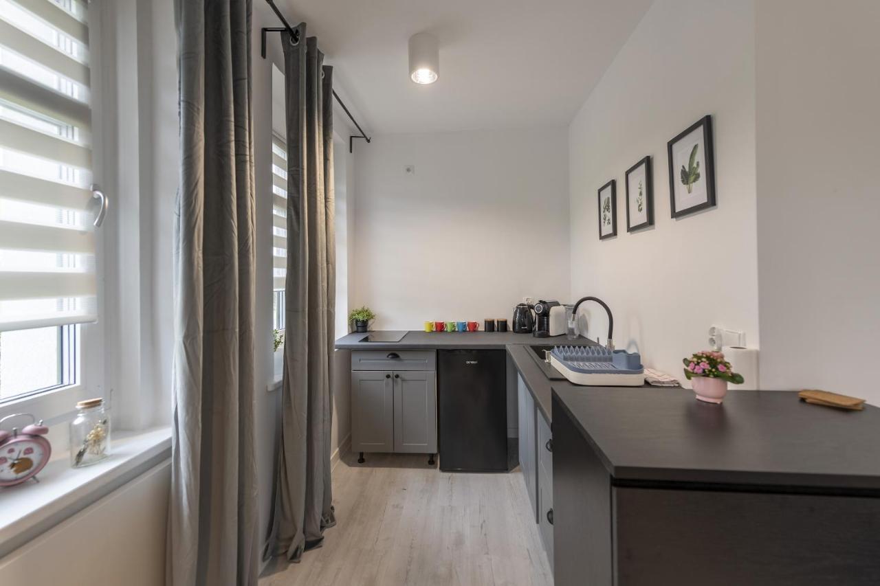 Apartamenty Sniezna 12 Ladek- Zdroj Εξωτερικό φωτογραφία